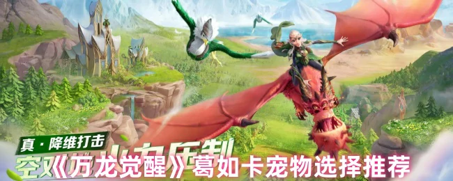 葛如卡宠物选择推荐