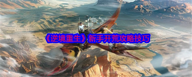 新手开荒攻略技巧