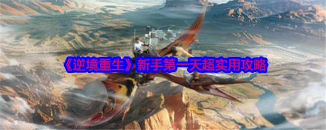 新手第一天超实用攻略