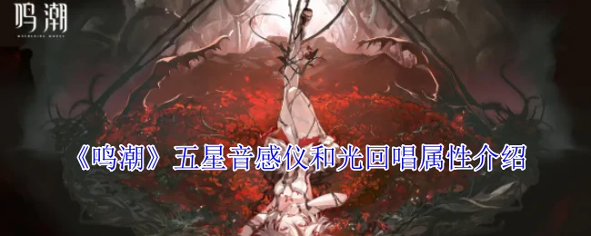 五星音感仪和光回唱属性介绍