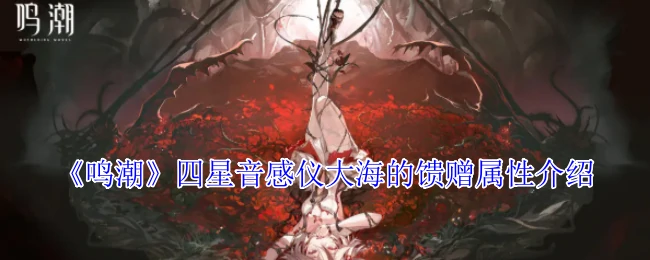 四星音感仪大海的馈赠属性介绍