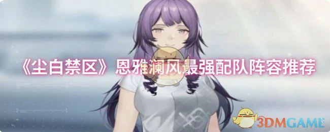 恩雅澜风最强配队阵容推荐