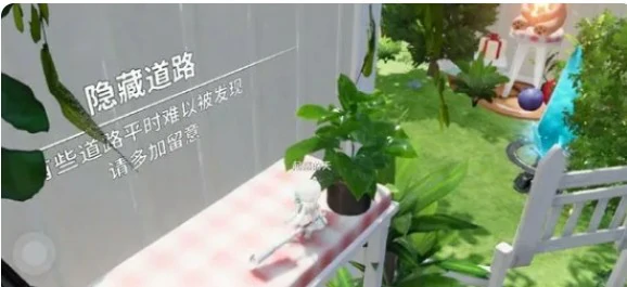 收藏品位置汇总