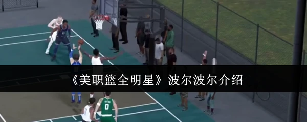 波尔波尔介绍
