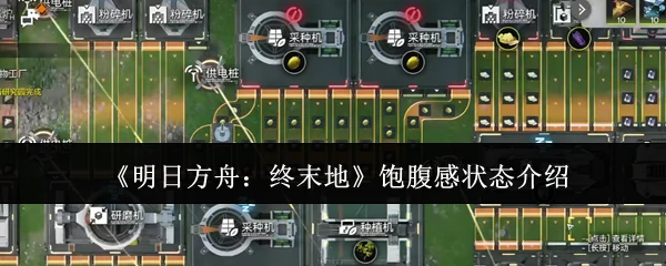 饱腹感状态介绍