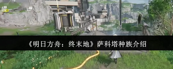 萨科塔种族介绍