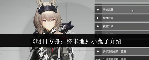 小兔子介绍