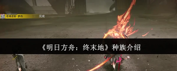 种族介绍
