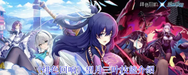 望月三叶技能介绍
