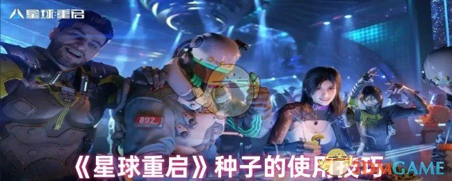 种子的使用技巧
