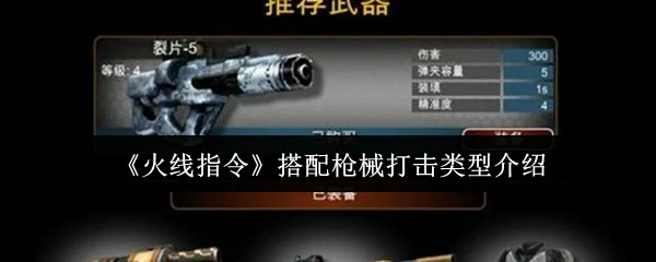搭配枪械打击类型介绍