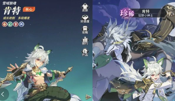 毒伤阵容搭配推荐