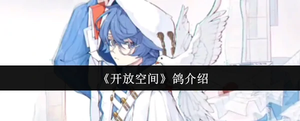 鸽介绍
