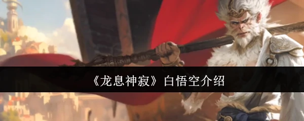 白悟空介绍