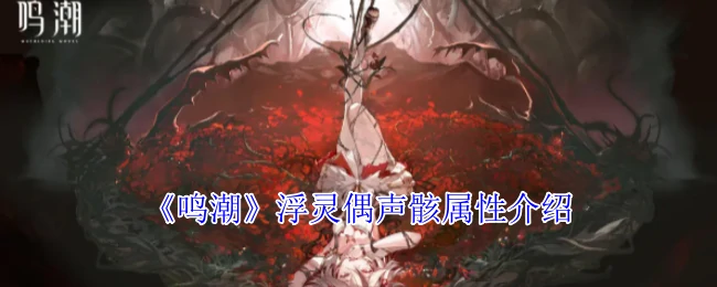 浮灵偶声骸属性介绍