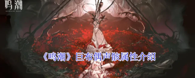 巨布偶声骸属性介绍