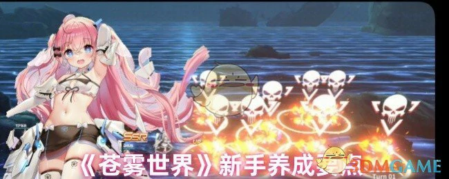 新手养成要点