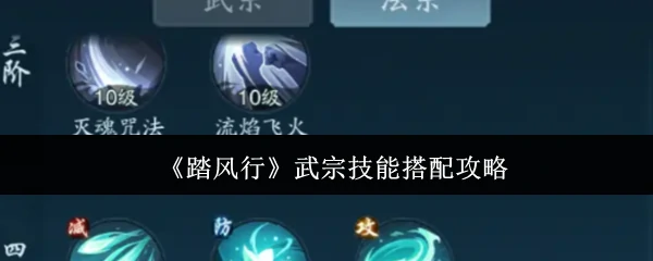 武宗技能搭配攻略