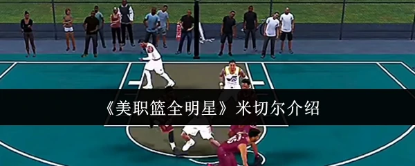 米切尔介绍