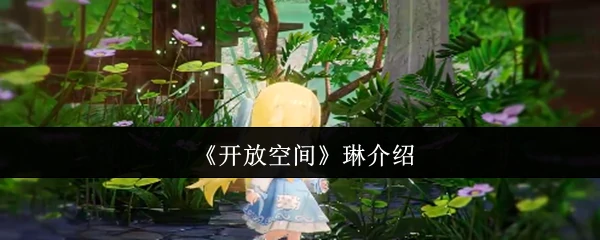 琳介绍