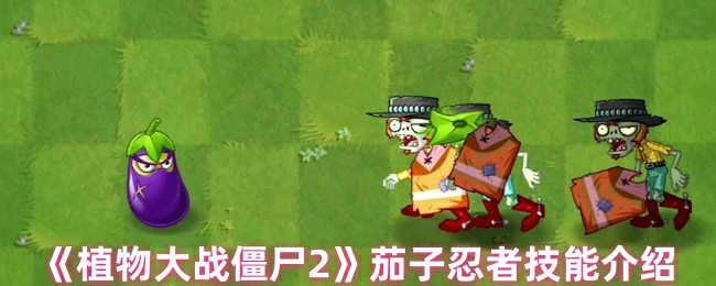 茄子忍者技能介绍