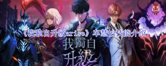 车慧怡技能介绍