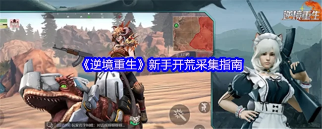 新手开荒采集指南