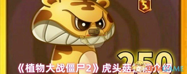 虎头菇介绍