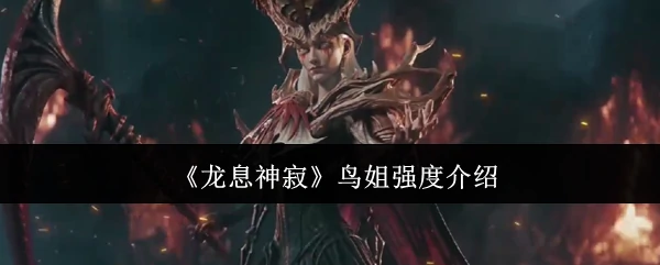 鸟姐强度介绍