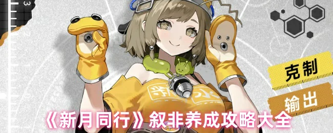 叙非养成攻略大全