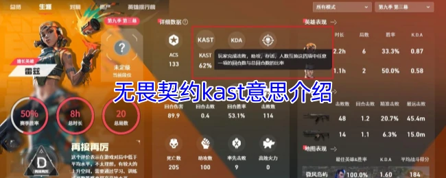 kast意思介绍