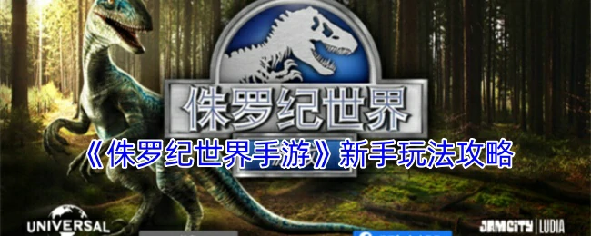 新手玩法攻略