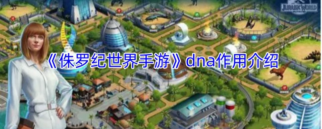 dna作用介绍