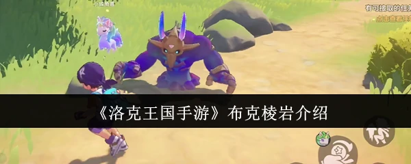 布克棱岩介绍