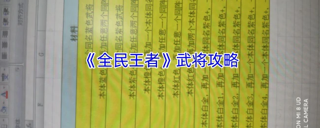 武将攻略