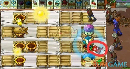 辣椒杀虫剂攻击方式及特性