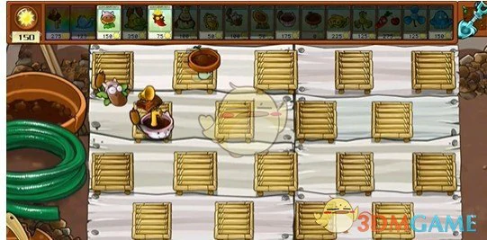 唱片机胆小菇特性介绍