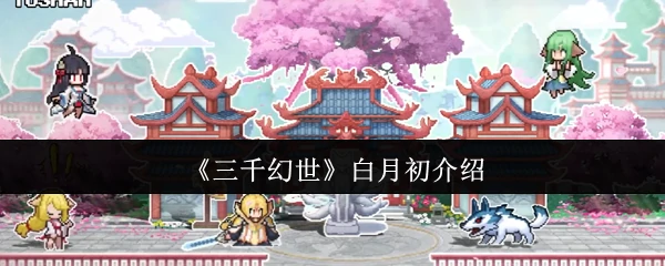白月初介绍