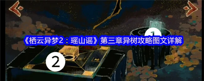 第三章异树