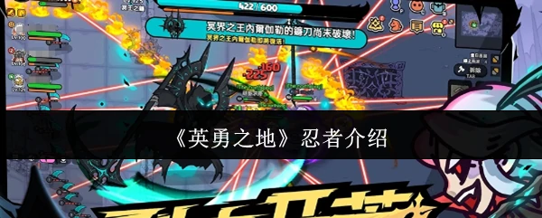 忍者介绍