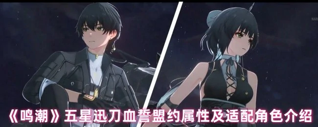 五星迅刀血誓盟约属性及适配角色介绍