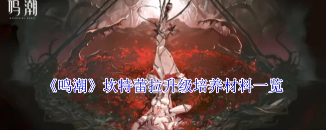 坎特蕾拉升级培养材料一览