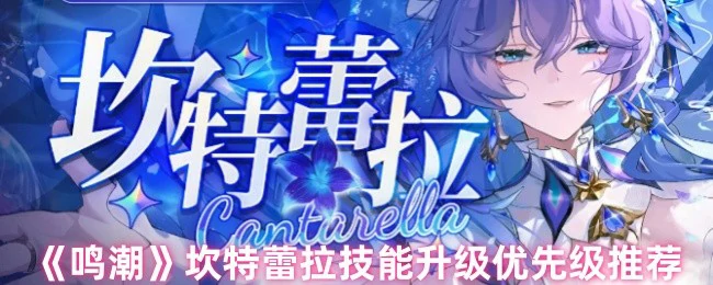 坎特蕾拉技能升级优先级推荐