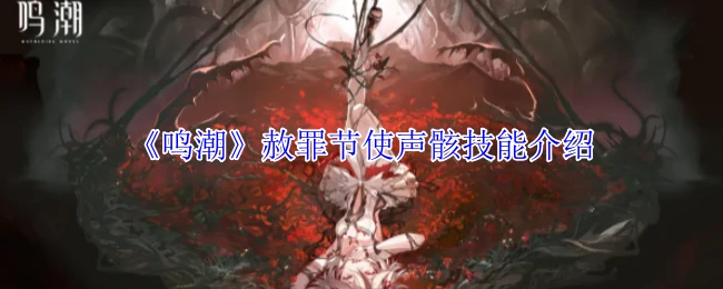 赦罪节使声骸技能介绍