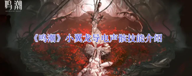小翼龙导电声骸技能介绍