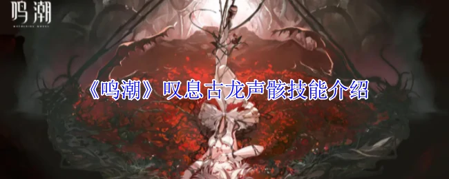 叹息古龙声骸技能介绍