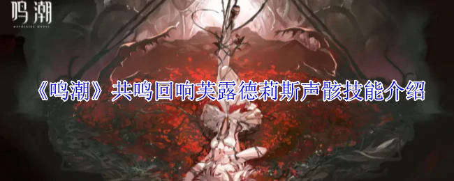 共鸣回响芙露德莉斯声骸技能介绍