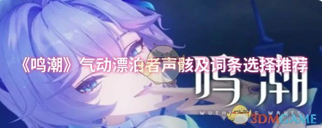 气动漂泊者声骸及词条选择推荐