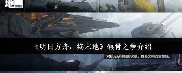 碾骨之拳介绍
