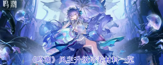 风主升级培养材料一览